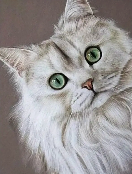 Diamond Painting Sibirische Katze